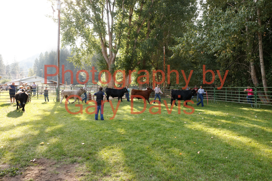 _MG_0034 (2)